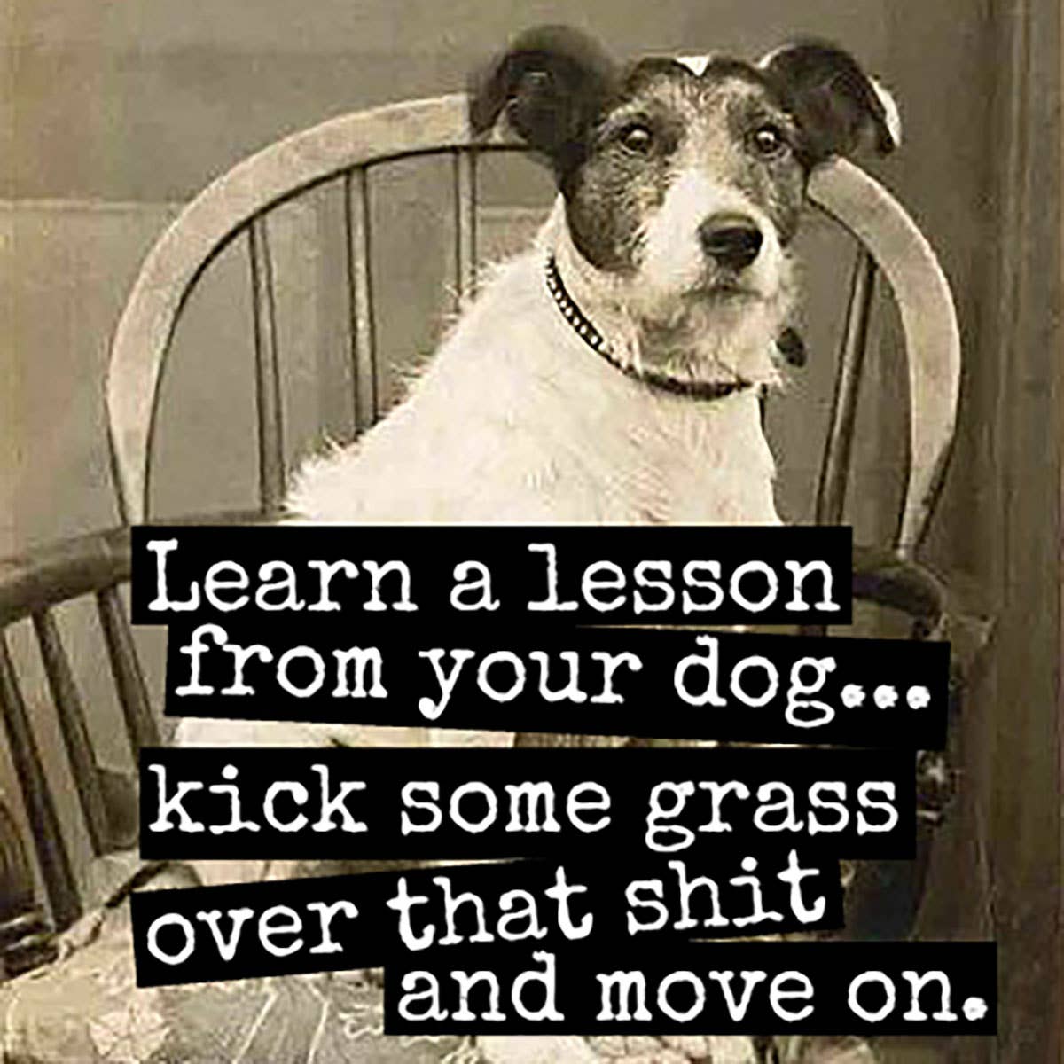 Fridge Magnet. Learn A Lesson From Your Dog...