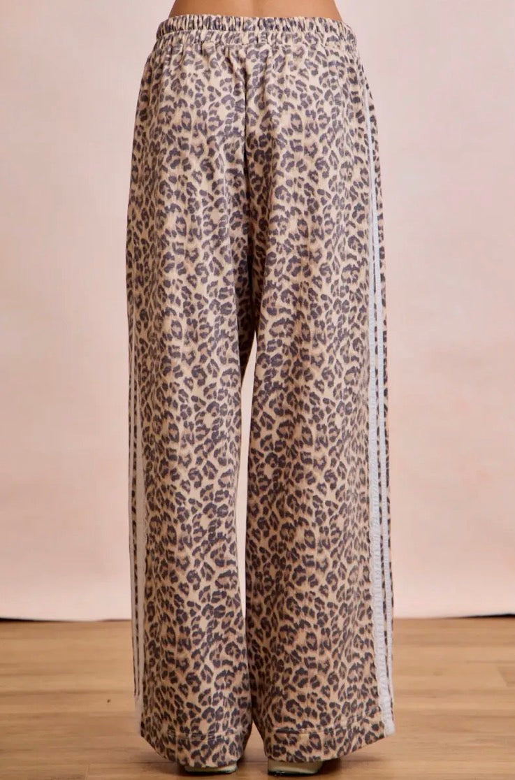 Cozy Cat Sweatpants