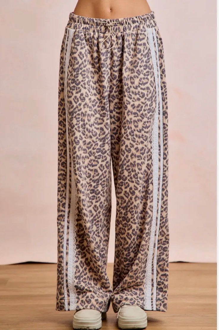 Cozy Cat Sweatpants