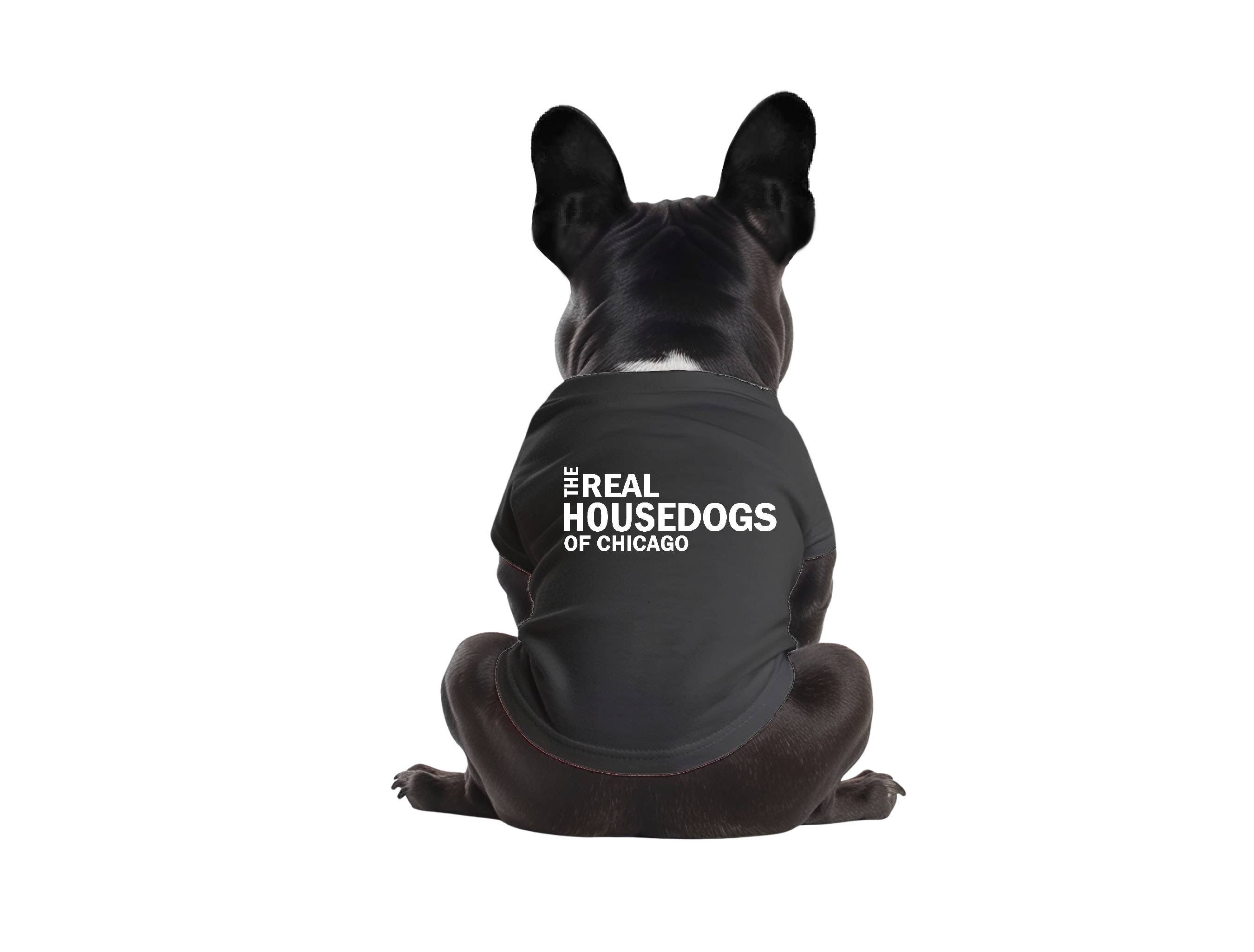 Real House Dog Shirt