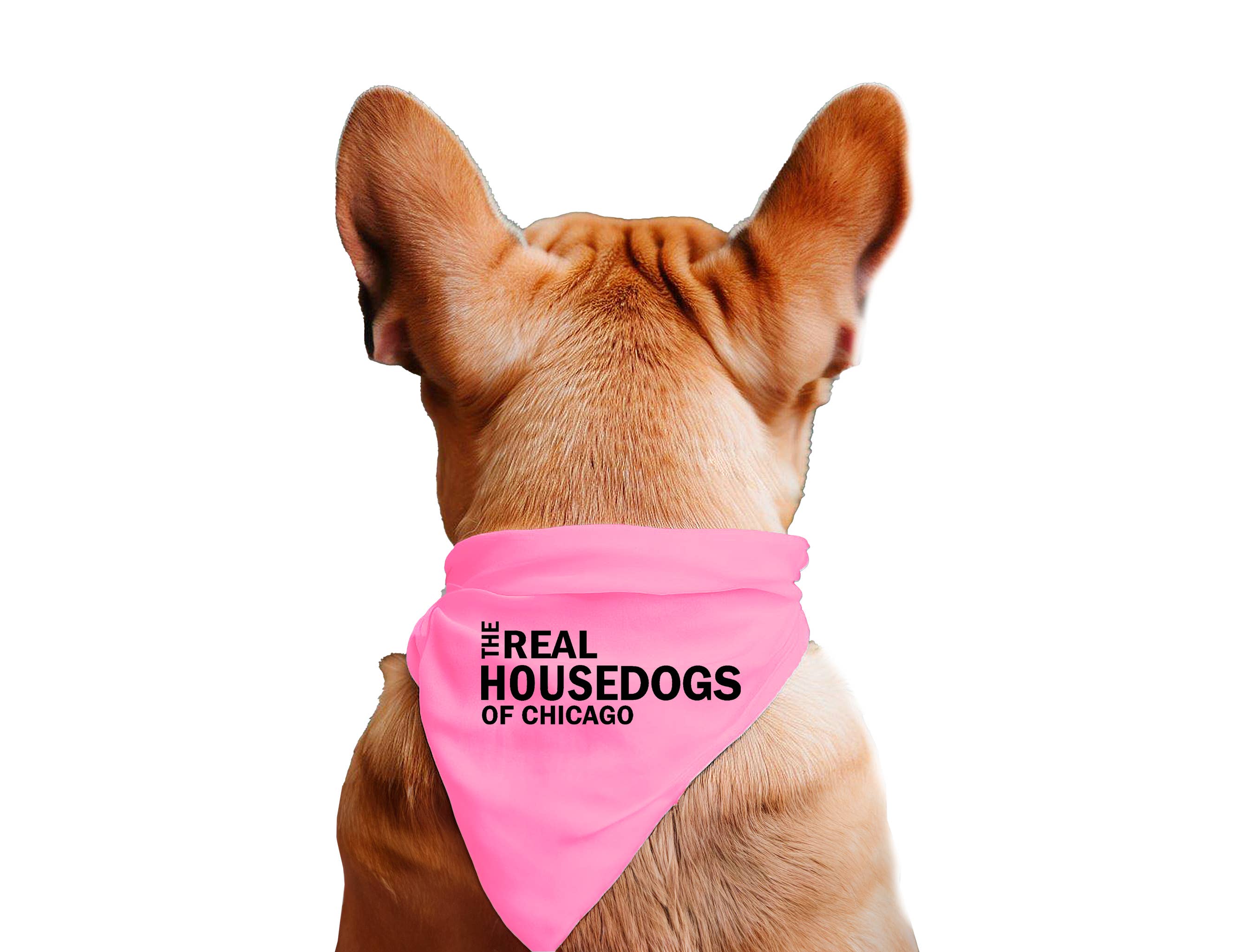 Real House Dogs Bandana