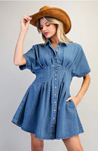 Perry Denim Dress