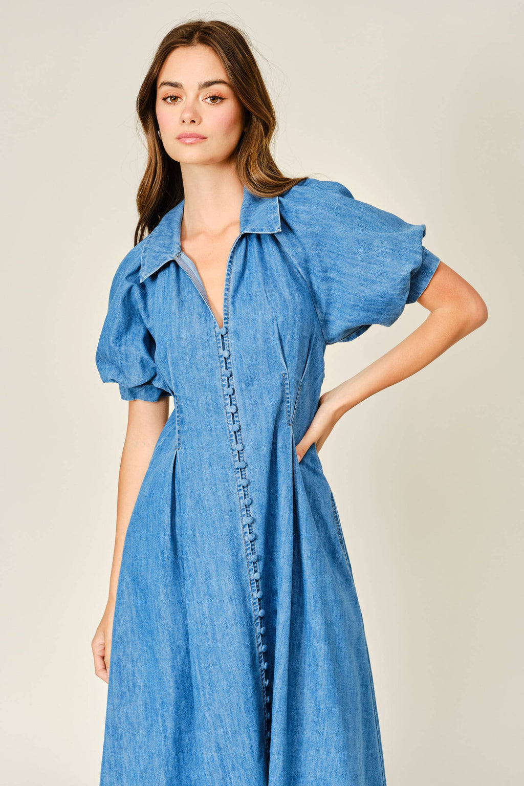 Birdie Denim Dress