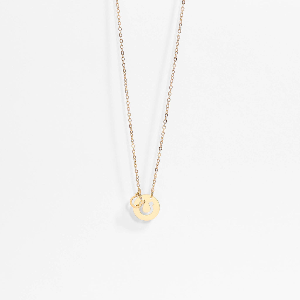 Horseshoe Charm Necklace