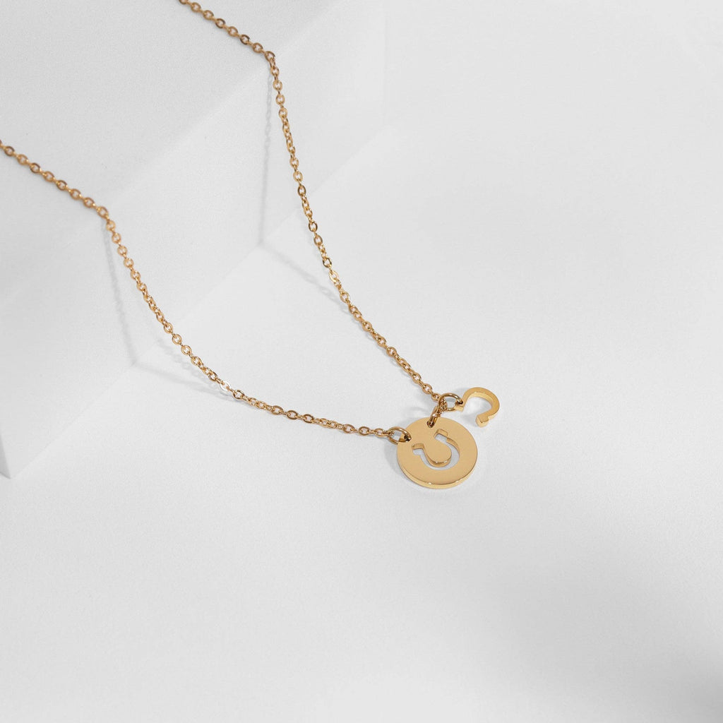Horseshoe Charm Necklace