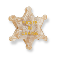 Star Hair Clip