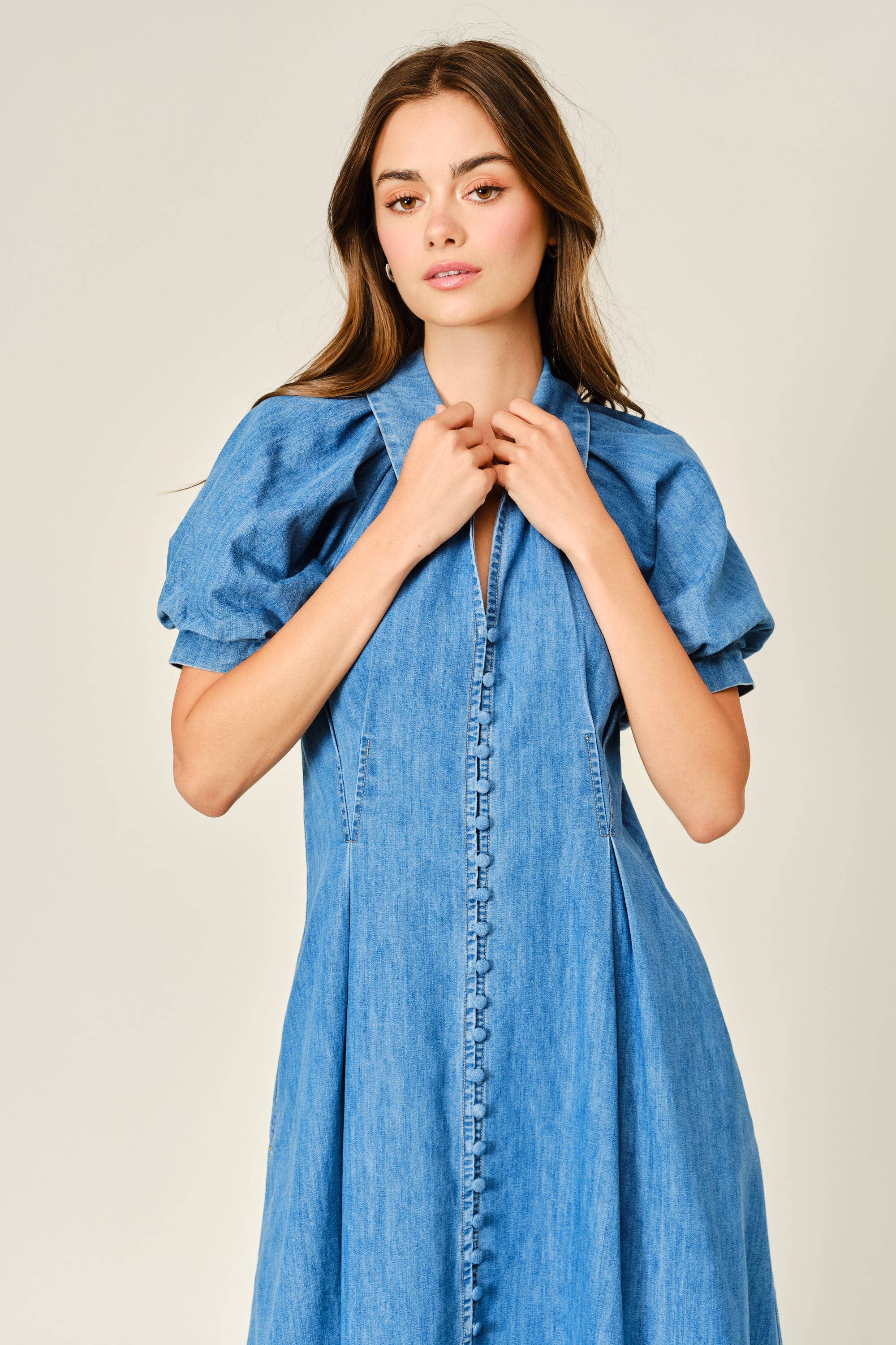 Birdie Denim Dress